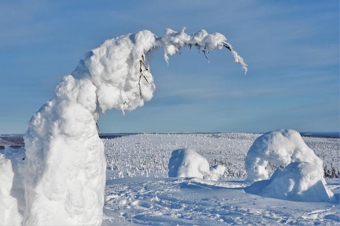 Lunta Riisitunturilla helmikuussa 2020.